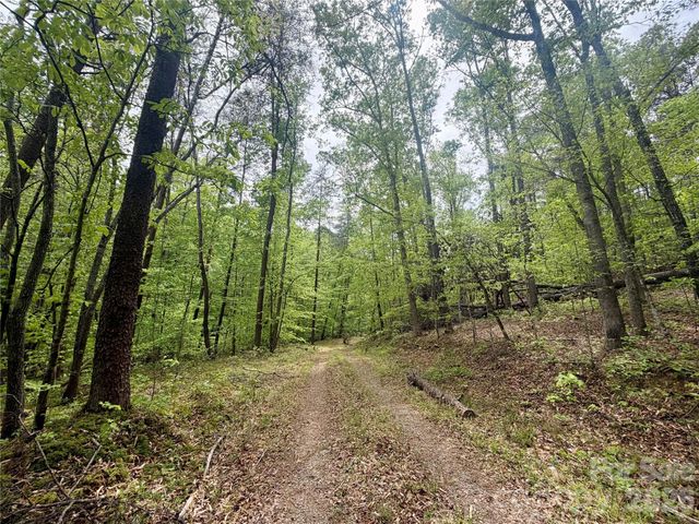 0 Polk County Line Road, Rutherfordton, NC 28139