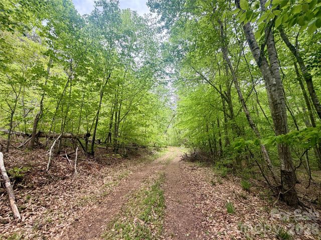 0 Polk County Line Road, Rutherfordton, NC 28139
