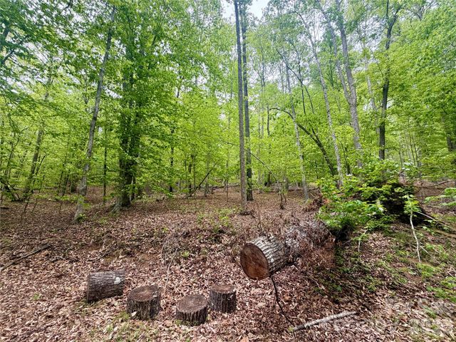 0 Polk County Line Road, Rutherfordton, NC 28139