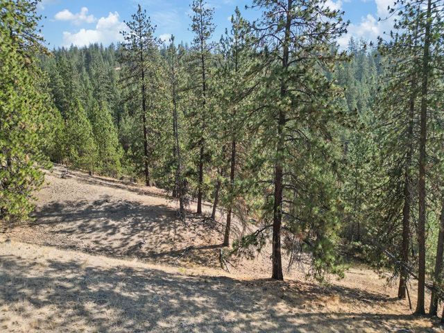 NKA Lower Weaver Way, Deer Park, WA 99006