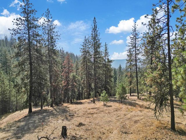 NKA Lower Weaver Way, Deer Park, WA 99006