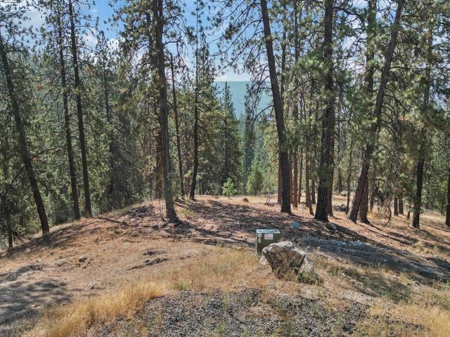 NKA Lower Weaver Way, Deer Park, WA 99006