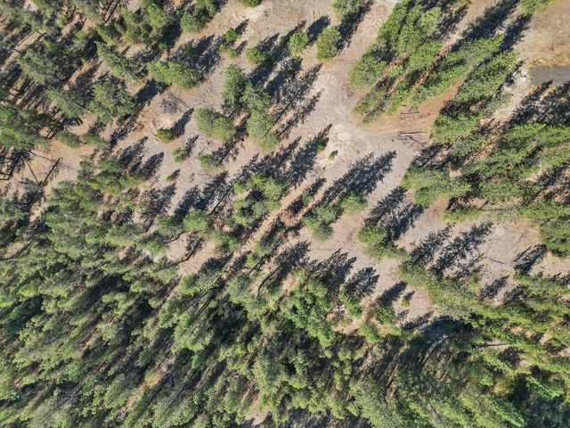 NKA Lower Weaver Way, Deer Park, WA 99006