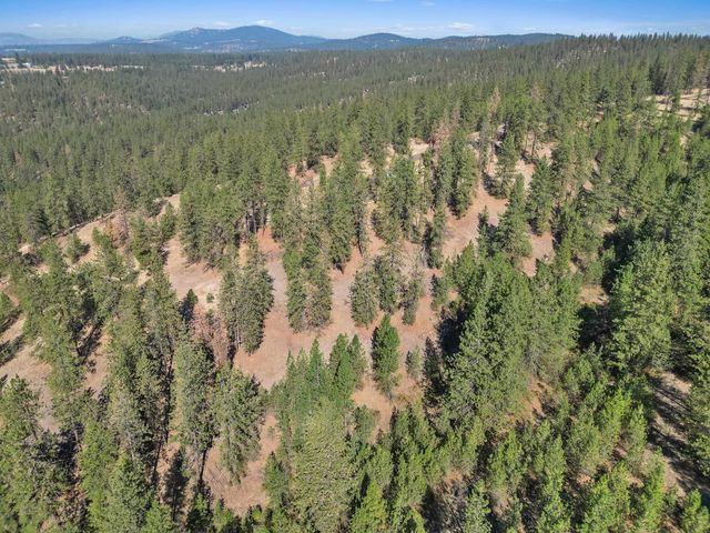 NKA Lower Weaver Way, Deer Park, WA 99006