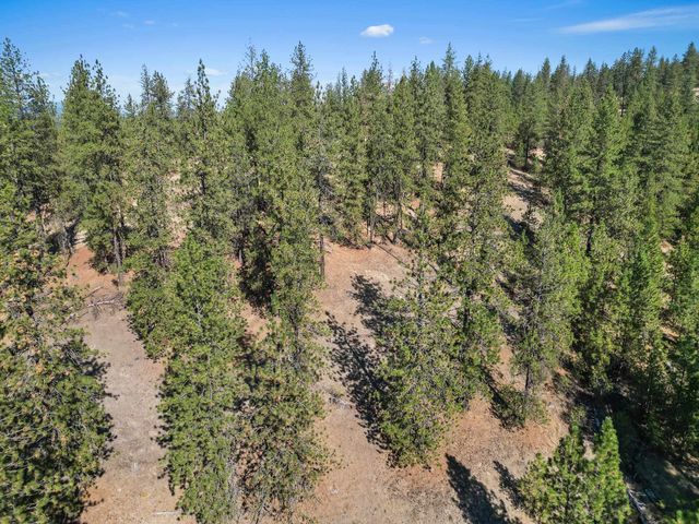 NKA Lower Weaver Way, Deer Park, WA 99006