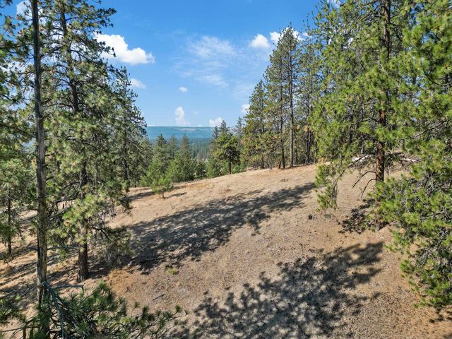 NKA Lower Weaver Way, Deer Park, WA 99006