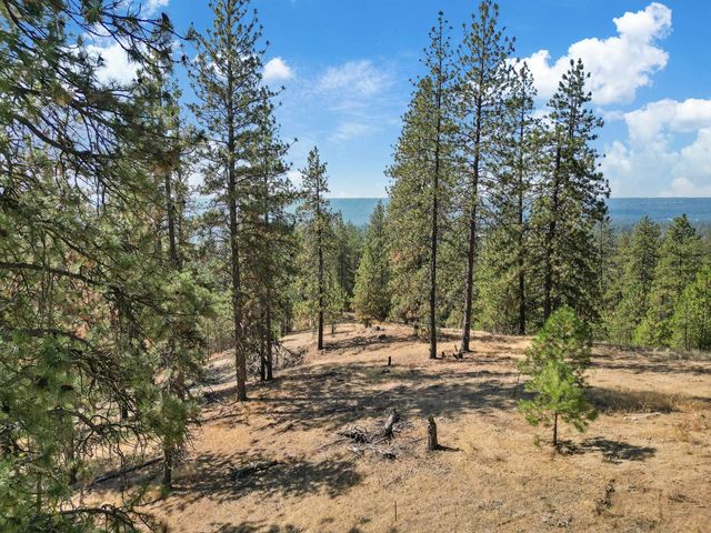 NKA Lower Weaver Way, Deer Park, WA 99006