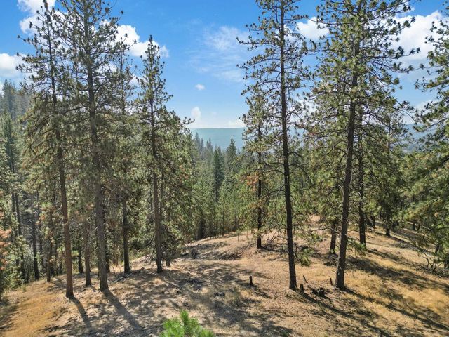 NKA Lower Weaver Way, Deer Park, WA 99006