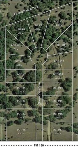 221 Charro Vista DR, Driftwood, TX 78619