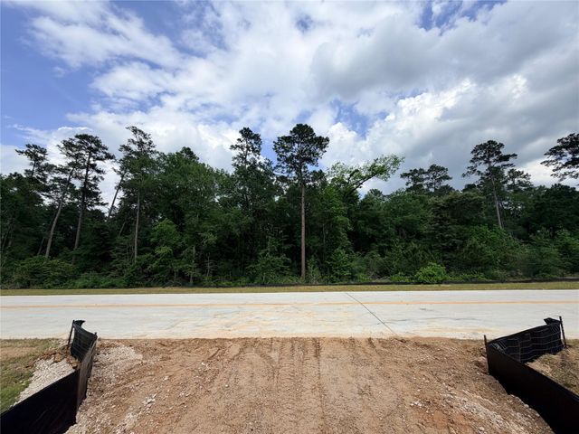253 Gonsoulin Lane, Pinehurst, TX 77362