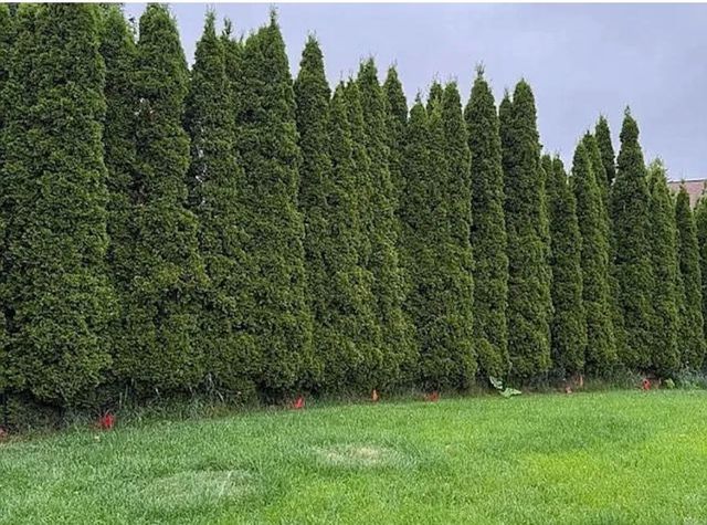 752 S Parkside Drive, Round Lake, IL 60073