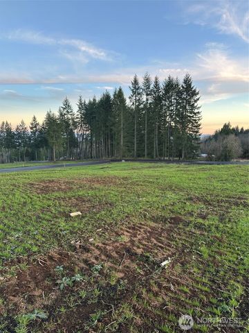 216 Suncrest Drive, Castle Rock, WA 98611