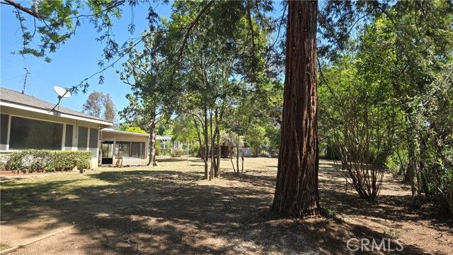 11817 Peach Tree, Yucaipa, CA 92399