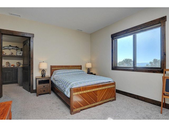 30009 Creek Run, Buena Vista, CO 81211