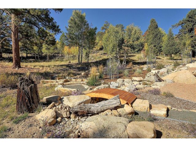 30009 Creek Run, Buena Vista, CO 81211