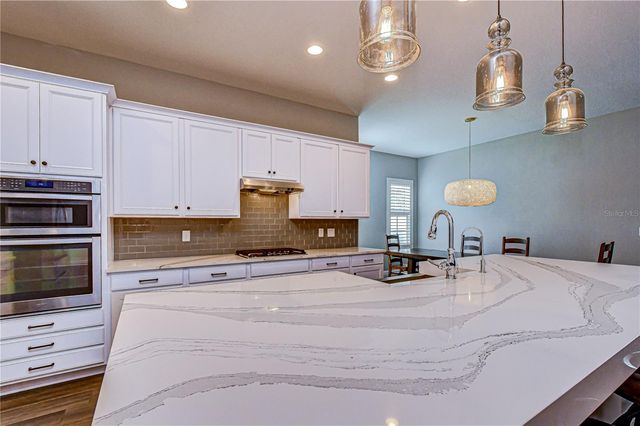 14908 BASSINGER LANE, Lithia, FL 33547