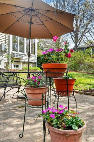 532 Tuxedo Boulevard, Webster Groves, MO 63119