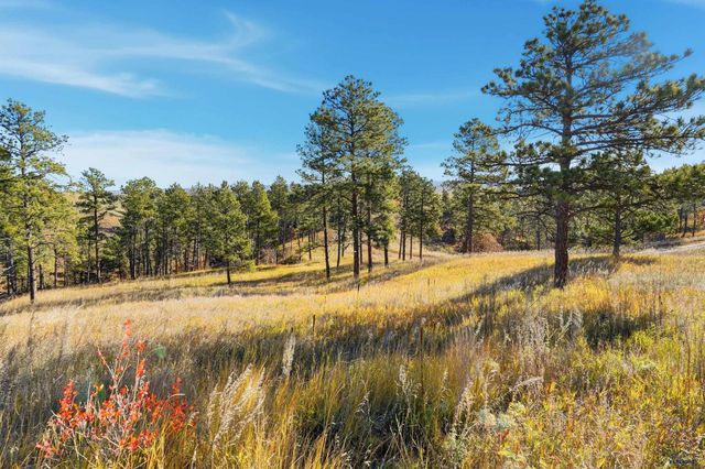 Lot 17A W MINNESOTA, Rapid City, SD 57701