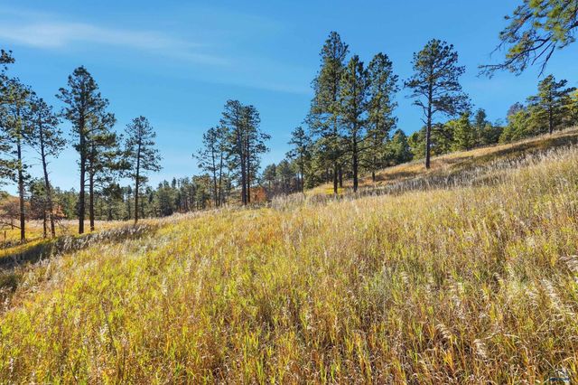 Lot 17A W MINNESOTA, Rapid City, SD 57701