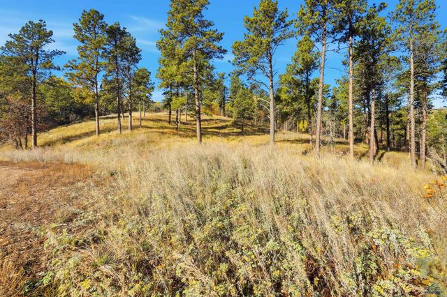 Lot 17A W MINNESOTA, Rapid City, SD 57701