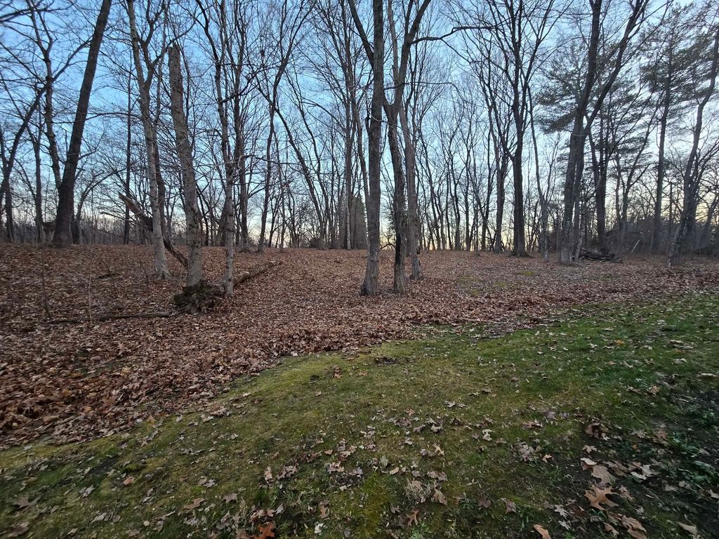 Image 47 of property listing at 15610 Lakeview Lane, Mt Vernon, IL 62864