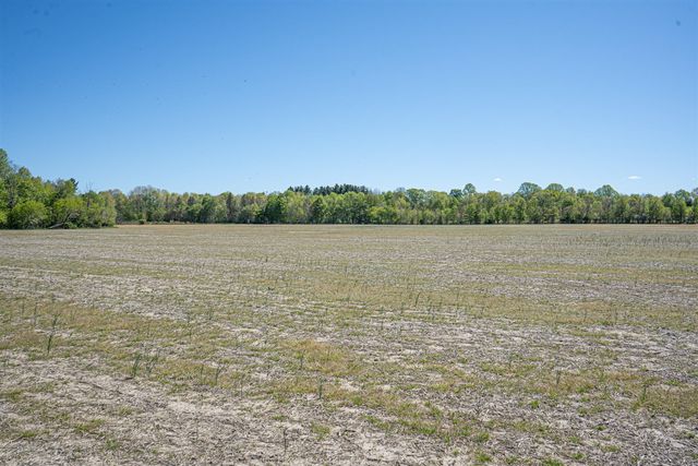 Parcel 2 8th Avenue, South Haven, MI 49090