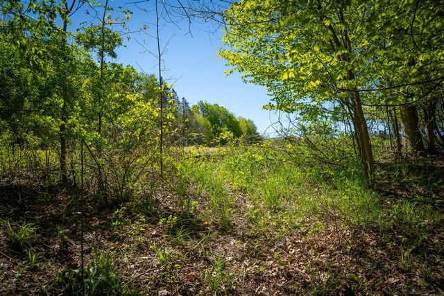 Parcel 2 8th Avenue, South Haven, MI 49090
