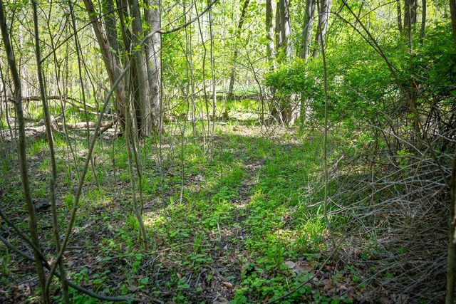 Parcel 2 8th Avenue, South Haven, MI 49090