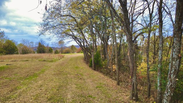 6525 Eudailey Covington Rd, College Grove, TN 37046