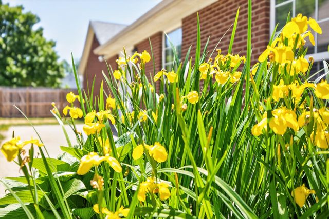 2181 Palomar Trace Drive, Lexington, KY 40513