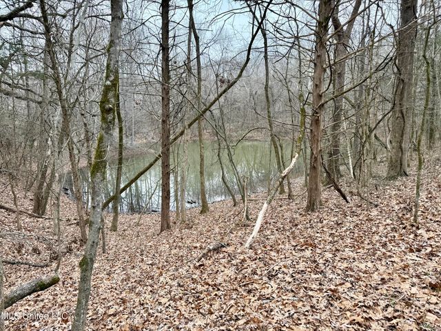 Laws Hill Road, Holly Springs, MS 38635