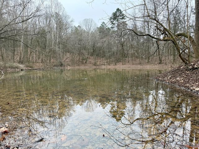 Laws Hill Road, Holly Springs, MS 38635