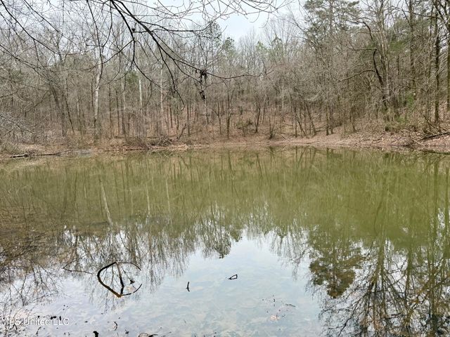 Laws Hill Road, Holly Springs, MS 38635