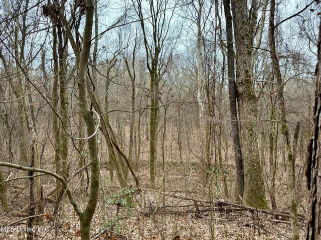 Laws Hill Road, Holly Springs, MS 38635