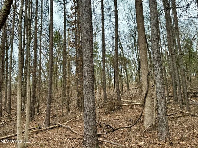 Laws Hill Road, Holly Springs, MS 38635