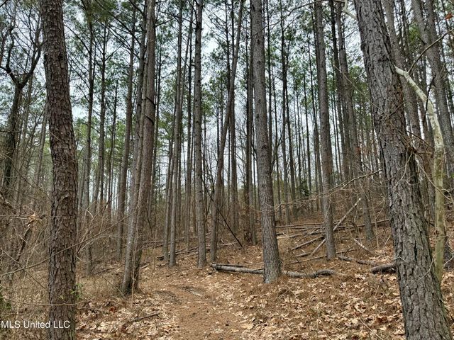 Laws Hill Road, Holly Springs, MS 38635