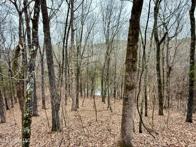 Laws Hill Road, Holly Springs, MS 38635