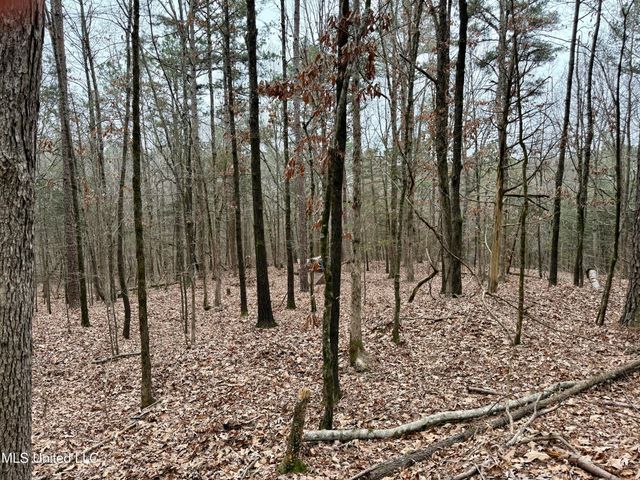 Laws Hill Road, Holly Springs, MS 38635