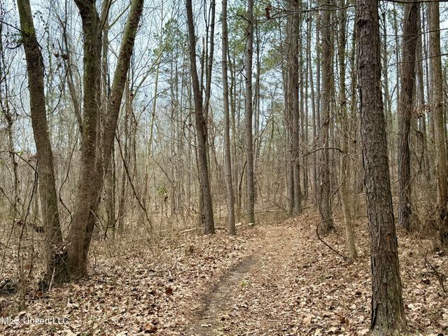 Laws Hill Road, Holly Springs, MS 38635