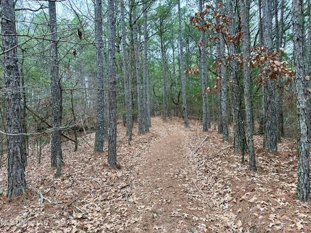 Laws Hill Road, Holly Springs, MS 38635