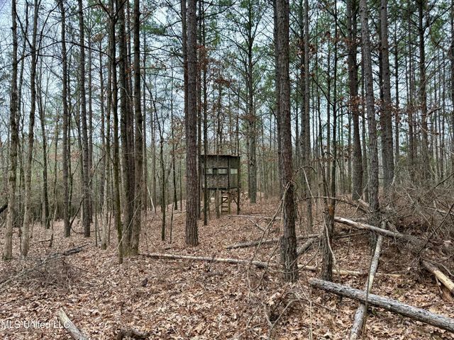 Laws Hill Road, Holly Springs, MS 38635