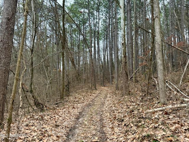 Laws Hill Road, Holly Springs, MS 38635