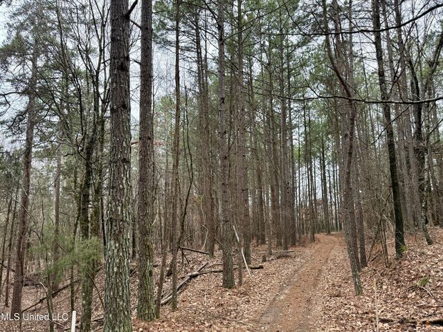 Laws Hill Road, Holly Springs, MS 38635