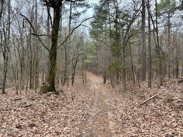 Laws Hill Road, Holly Springs, MS 38635