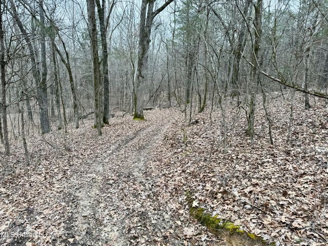 Laws Hill Road, Holly Springs, MS 38635