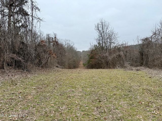 Laws Hill Road, Holly Springs, MS 38635