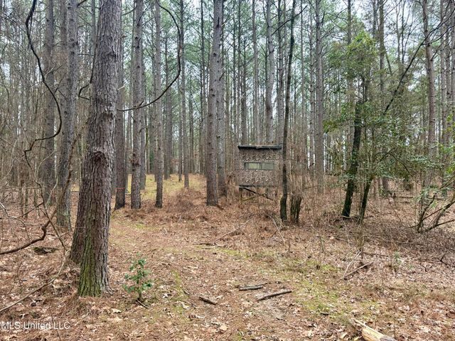 Laws Hill Road, Holly Springs, MS 38635