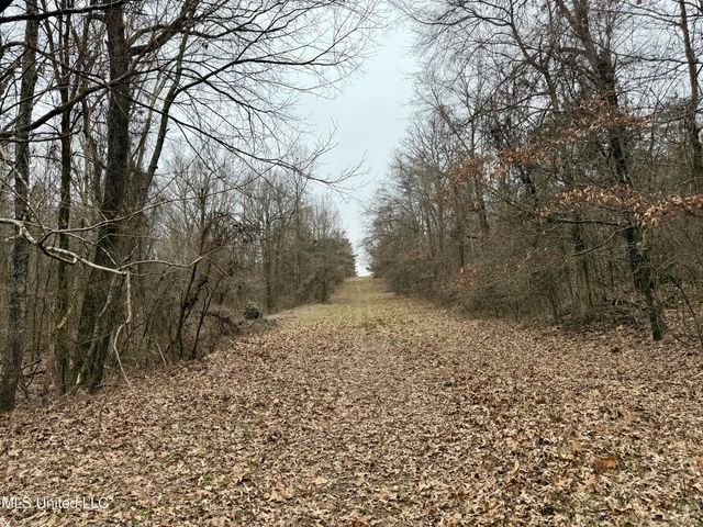 Laws Hill Road, Holly Springs, MS 38635