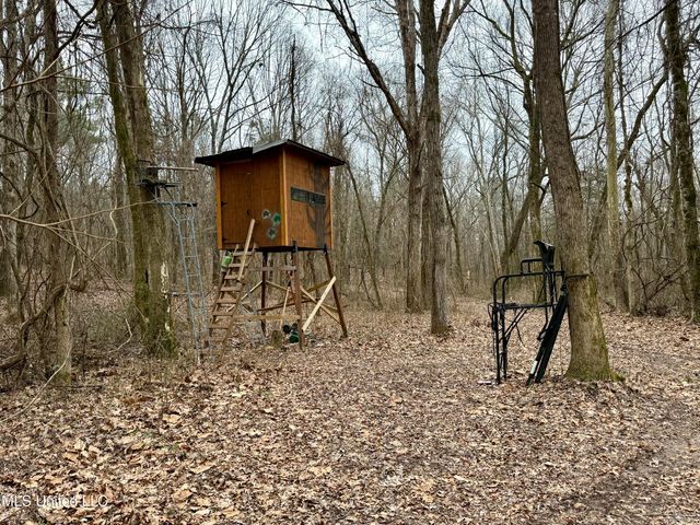 Laws Hill Road, Holly Springs, MS 38635