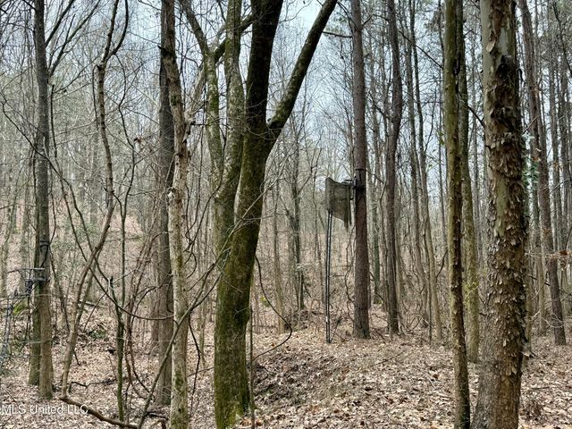 Laws Hill Road, Holly Springs, MS 38635